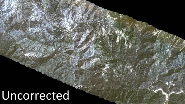 _images/topo_correct.gif